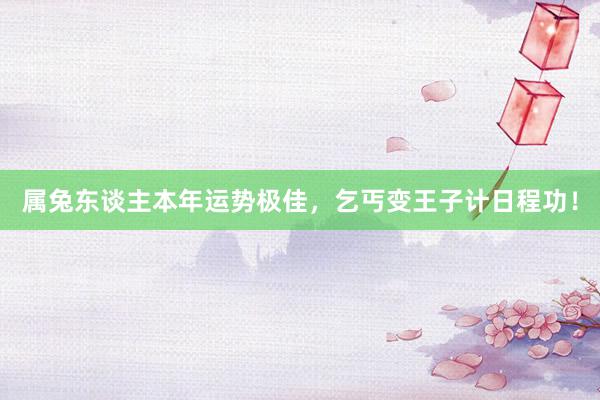 属兔东谈主本年运势极佳，乞丐变王子计日程功！